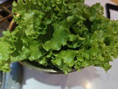 -杨记齐齐哈尔烤肉(总店)