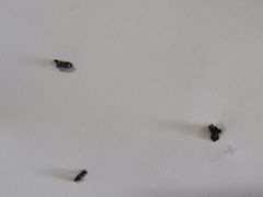 -法莱索尔(奥莱店)