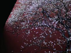 -钱王祠