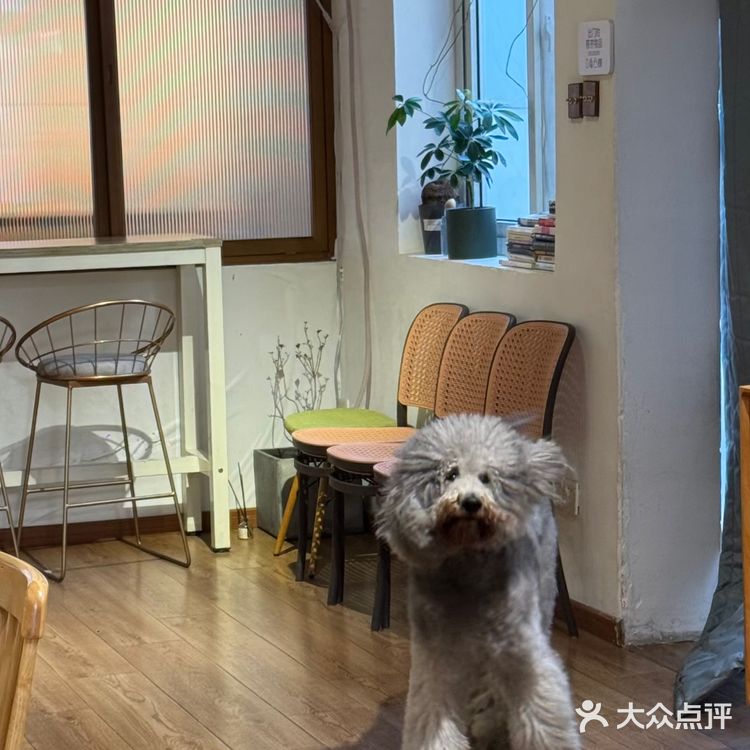 暖暖的午餐组合🙋🏻♂️牛肉饭一定要配一杯热红酒🙋🏻♂️