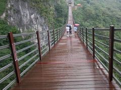 -武陵山森林公园