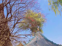 -晋祠公园