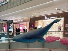 -凯德广场(学府店)