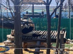 -西霞口神雕山野生动物世界