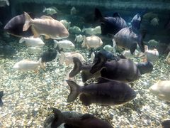 -成都浩海立方海洋公园