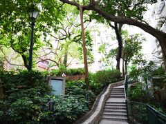 -香港大学