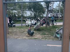 -太阳宫公园