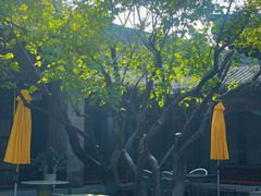 -宫事颐庭·老佛爷贵寿下午茶(颐和园店)