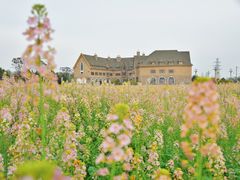 -中国天府农业博览园