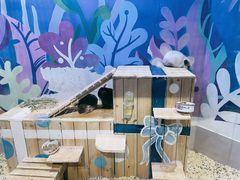-海合安青岛极地海洋公园