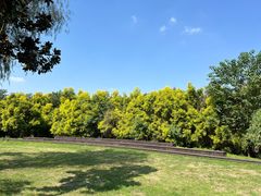 -白鹭湾湿地公园