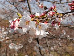 -苏州上方山国家森林公园