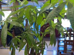 -老诚一锅羊蝎子(天通苑东三区直营店)