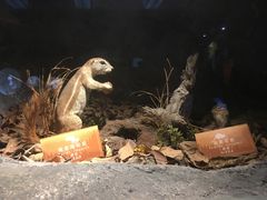 -陕西自然博物馆