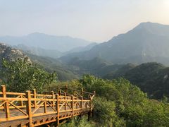 -大岭沟猕猴桃谷风景区