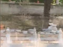-皇家御河游(紫御湾码头)