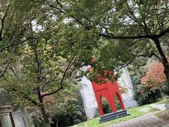 -东平国家森林公园
