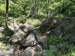 -云岫谷自然风景区