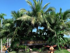 -海南槟榔谷黎苗文化旅游区