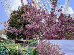 -祥源·阜阳生态乐园