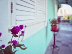 景点-龙环葡韵住宅式博物馆