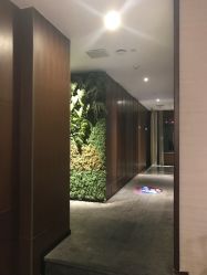 点击看大图 -禾颜社·精致美容