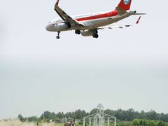 -空港花田景区