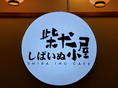 -柴犬小屋·柴餐厅·狗咖食堂(金鼎广场店)