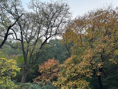 -香山公园