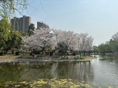 -堤角公园