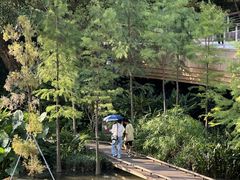 -云溪植物园