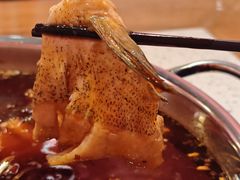 -黑龙滩生态鱼火锅(百寿路店)
