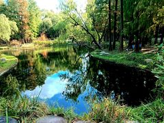 -上海共青森林公园