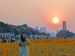 -海心沙亚运公园