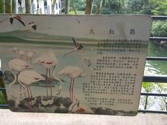 -九龙公园