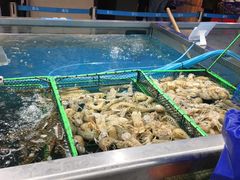 -盒马鲜生(大成店)