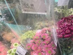 -盒马X会员店(上海森兰商都店)