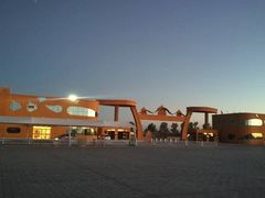-金塔沙漠胡杨林景区