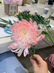 -馨悦诗安国际母婴会所