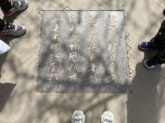 -桃花堤公园