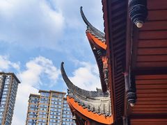 -塔子山公园