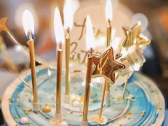 -维尔纳斯·生日蛋糕·动物奶油冰淇淋蛋糕(六里桥店)