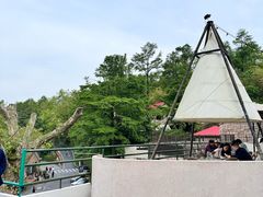 -金鱼妈妈 山野·食趣(荫山街店)