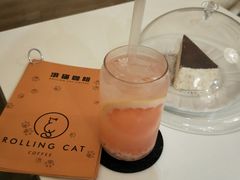 -滚猫咖啡·猫咖·猫友好撸猫(未来城店)