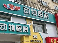 -瑞派宠物医院·24小时骨科·心脏·核磁(哈尔滨南岗店)