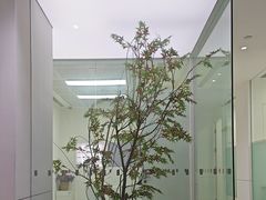 -极简口腔(总院)