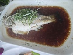 -云中小雅