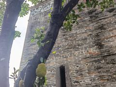 -碧江金楼