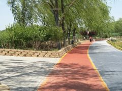 -大兴滨河森林公园