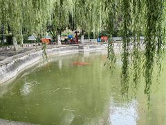 -西安市纺织公园